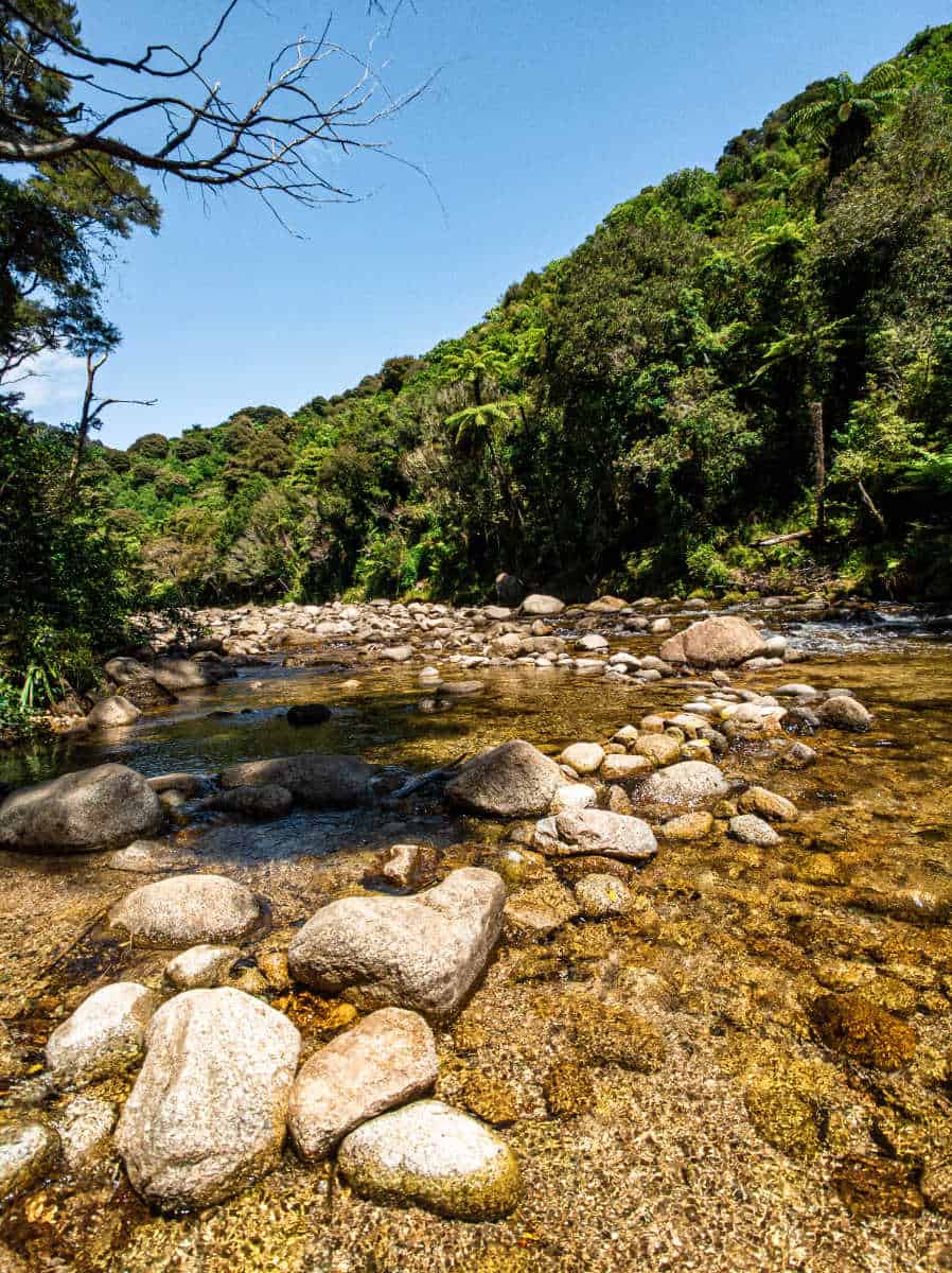 Riverbed along the Wainui Falls Track in Abel Tasman National Park
