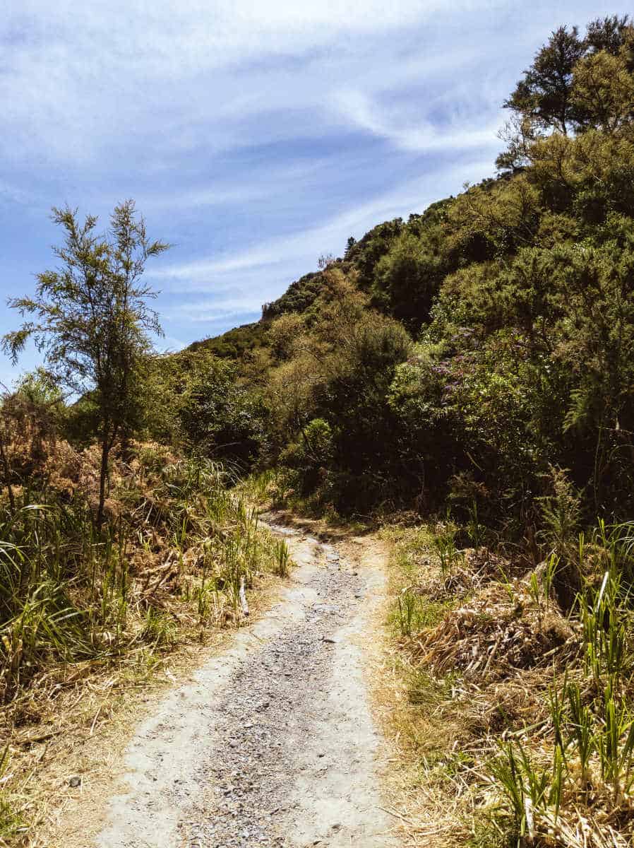 Walkway at the Putangirua Pinnacles Scenic Reserve