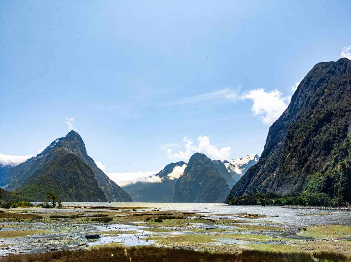 Low tide setting in at Milford Sound.