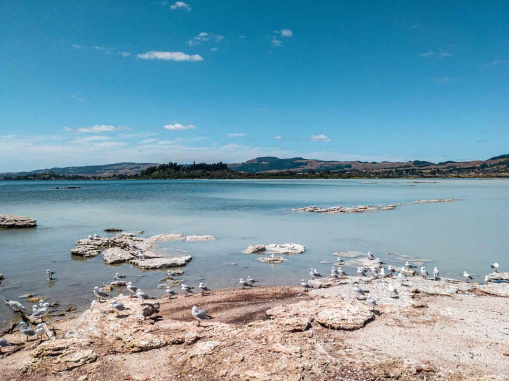 Sulphur Point in Rotorua, New Zealand