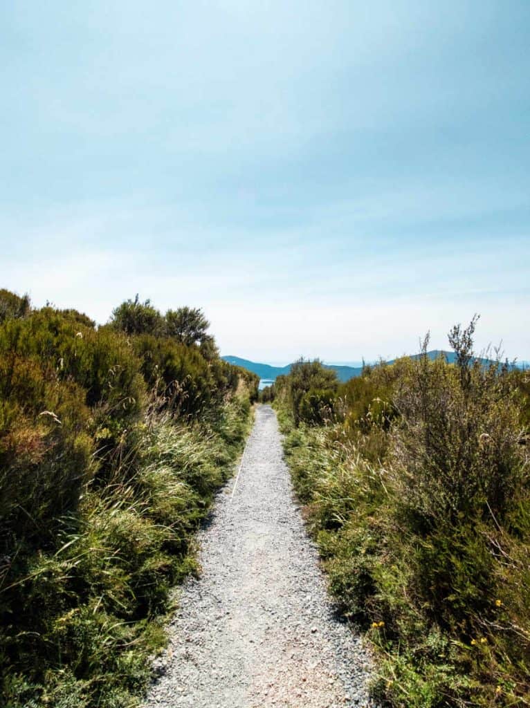 Path on the final section of the Tongariro Alpine Crossing